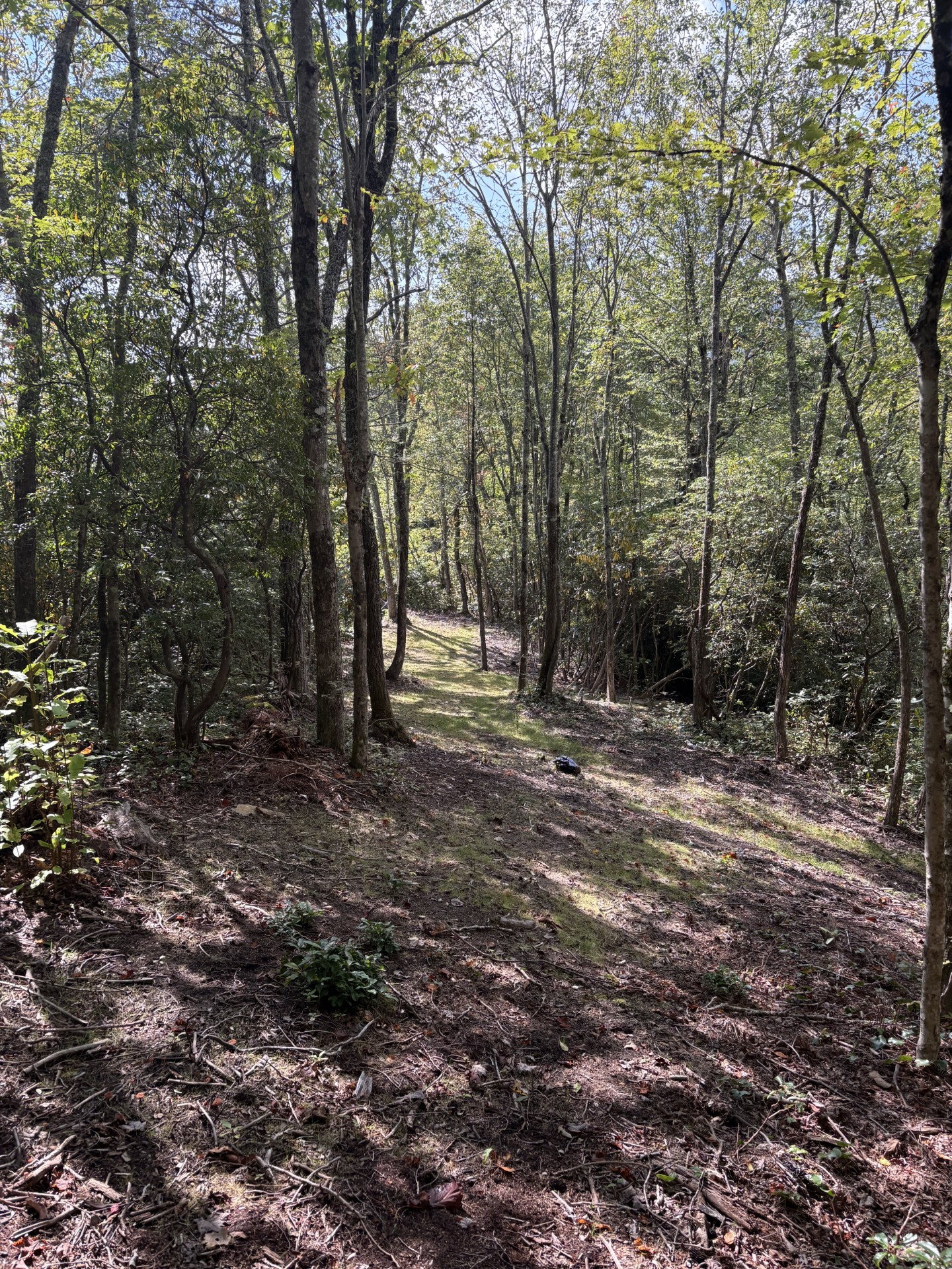 walking path